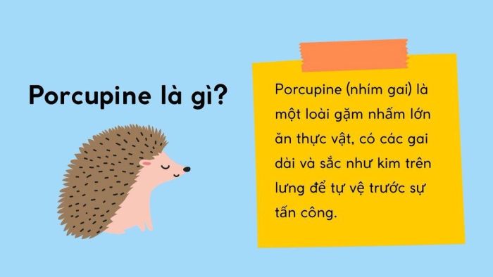 Porcupine là loài động vật nào?